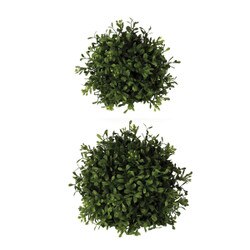 19451ORB 2-Pc Assortment Boxwood Or
