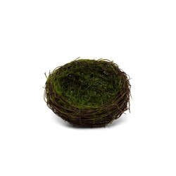 T5249 3.75" Nest w/Moss Twig