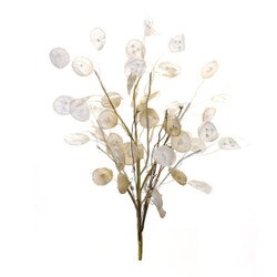 85113 31.5" Silver Dollar Spray