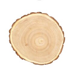 DA5394 8 3/4" Paulownia Wood Slice