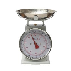 AH2623 9.75" Stainless Scale