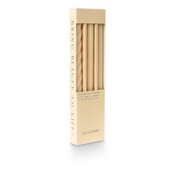 46271004000 Assorted Candle Tapers