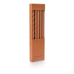 46271001000 Assorted Candle Tapers