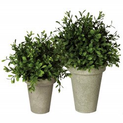 19448POT Boxwood Orb/Pot