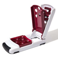 11303300 Cherry Pitter