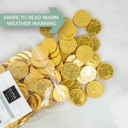 16642 Chocolate Gold Coins - 2.5 lb