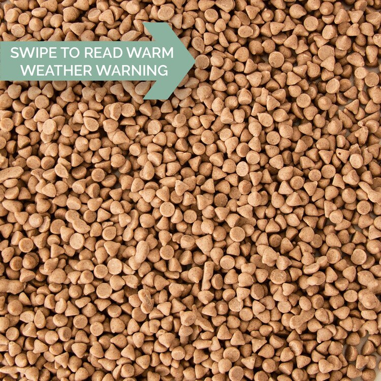 7-886C Cinnamon Baking Chips - 50 L