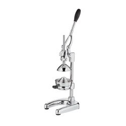 C309164 Citrus Press- Polished Sil