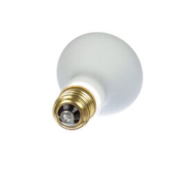 42947 Flood Light Coated 50 Watt Fo