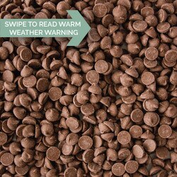 0145C Guittard Milk Chocolate Maxi