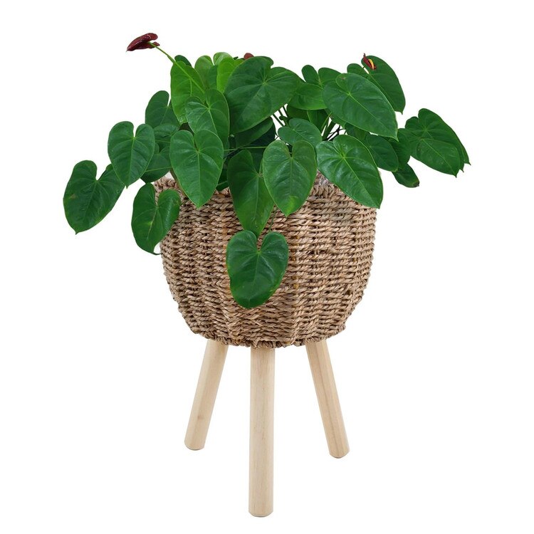 M2104-DH42 Indoor Planters Decorati