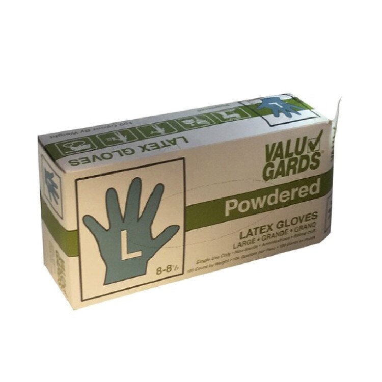 HGI-488675 Large Powdered Latex Glo