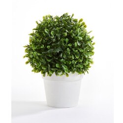 714908 Plant in a Pot w/Displayer