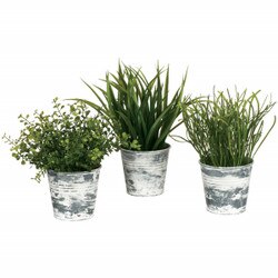 19714POT Potted Grass Plant