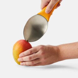 5284623 Split and Pit Mango Tool