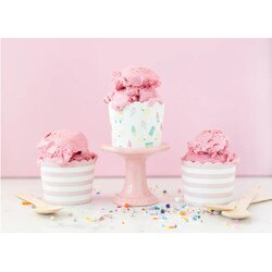 PLCC823 Summer Treats Food Cups