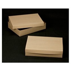 2104-2379 Natural Cake Box - 19" x