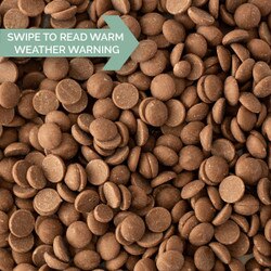 823NV595C Callebaut Select Belgian
