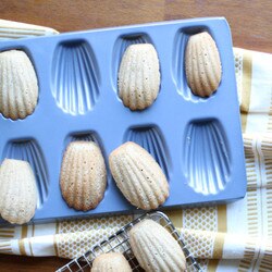 44925 Nonstick Madeleine Pan
